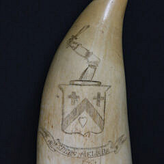 Antique Scrimshaw Sperm Whale Tooth, 19th Century