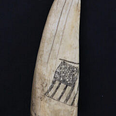 Antique Scrimshaw Walrus Tip, late 19th Century