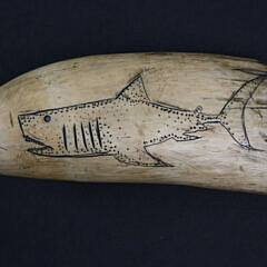 41731 Shark Scrimshaw Tooth A IMG_9939