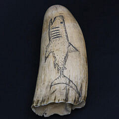 Antique Scrimshaw Whale Tooth, 19th Century, Engraved with a Shark