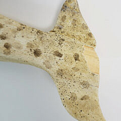 Clark Voorhees Jr. Carved Wood Narwhal