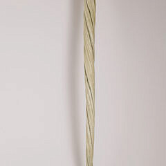 Antique Narwhal Tusk Walking Stick, mid 19th Century