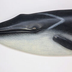 Carved and Painted Finback Whale By Captain Mike Orbe