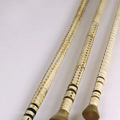 Collection of Three Antique Vertebrae Walking Sticks, 19th Century