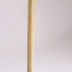 21-5146 Whalebone Walking Stick A IMG_0268