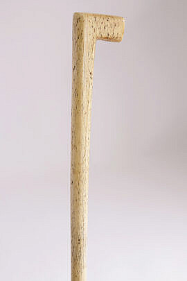 21-5146 Whalebone Walking Stick A IMG_0268