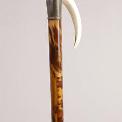 Wild Boar Tusk Handled Cane, 19th Century