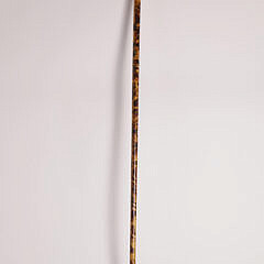 Wild Boar Tusk Handled Cane, 19th Century