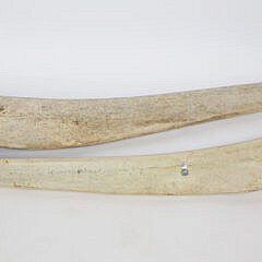 Two Antique Sperm Whale Jaw Bones