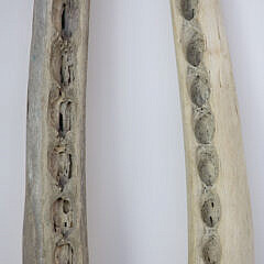 Two Antique Sperm Whale Jaw Bones