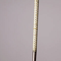 Silver Mounted Boar’s Tusk Handled Cane, 19th Century