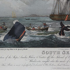 Antique Hand Colored Engraving “South Sea Whale Fishery, A Boat Destroyed by a Wounded Whale”