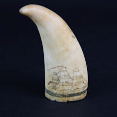 Scrimshawed and Polychromed Antique Sperm Whale Tooth, circa 1850