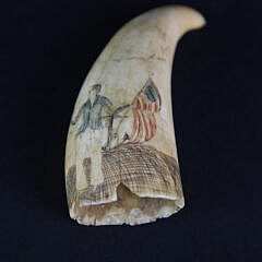 Scrimshawed and Polychromed Antique Sperm Whale Tooth, circa 1850