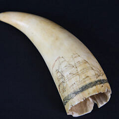 Scrimshawed and Polychromed Antique Sperm Whale Tooth, circa 1850