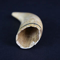 Scrimshawed and Polychromed Antique Sperm Whale Tooth, circa 1850