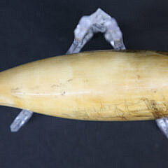 Scrimshawed Antique Sperm Whale Tooth, circa 1870