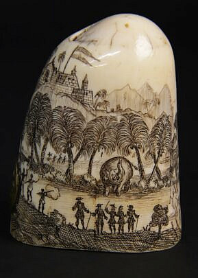 24-3612 Danish Guinea Tooth A_IMG_0851 2