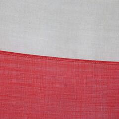 American Homeward Bound Pennant, 19th Century, 26 Ft. 8 inches