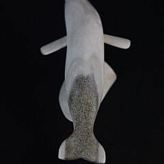 Azorian Carved Bone Shark