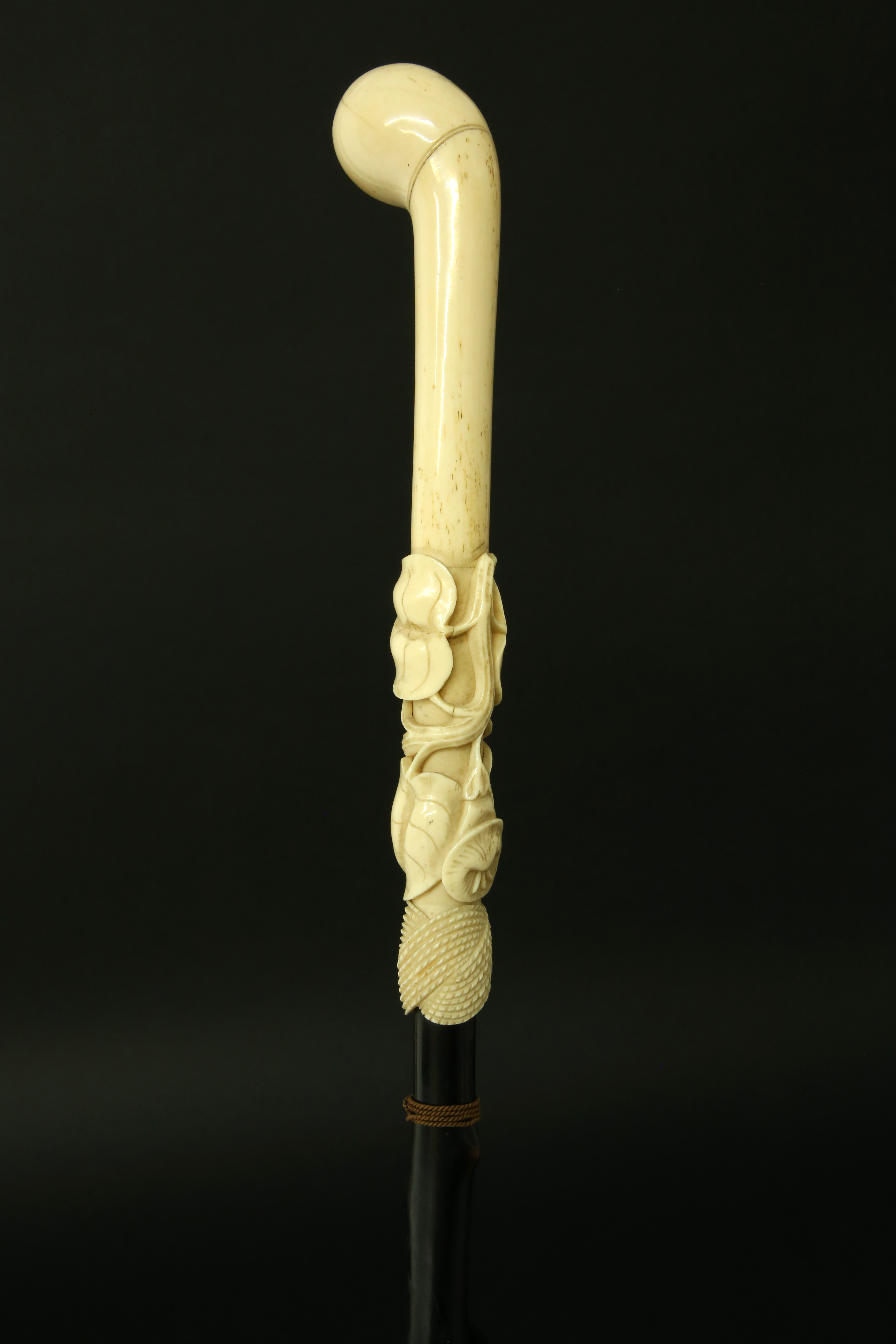 Thumb Handle Bone & Wooden Walking Stick