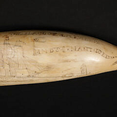 American Scrimshaw Sperm Whale Tooth Engraved "Nantucket" 19th Century