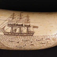 33-4854 Scrimshaw Tooth South Pacific A_IMG_8576