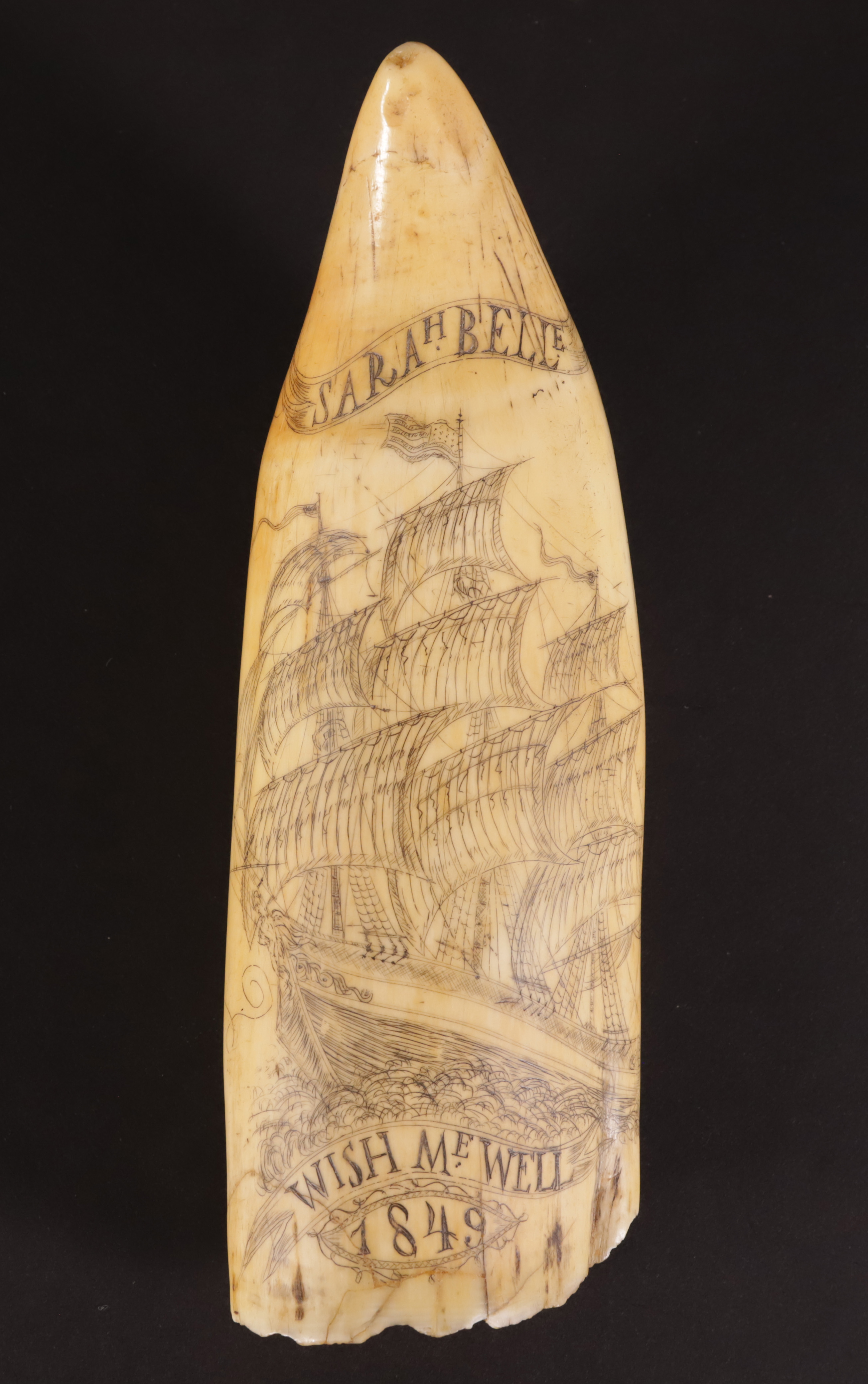 34-4854 Scrimshaw Sara Belle A_IMG_8549 2