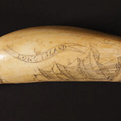 Scrimshawed Antique Sperm Whale Tooth, circa 1849