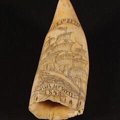 Scrimshawed Antique Sperm Whale Tooth, circa 1849