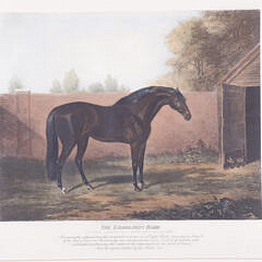 Group of Three Antique English Equestrian Horses with Their Handlers Prints