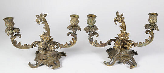 Pair of 19th Century Bronze Two-Light Floral Candelabra 