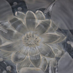 Verlyn Frosted Glass Water Lily Embossed Shallow Bowl