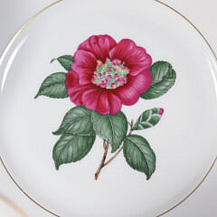 H. & Co. Selb Bavaria Germany Dinner Service in the Camellia Japonica Floral Albo Pattern