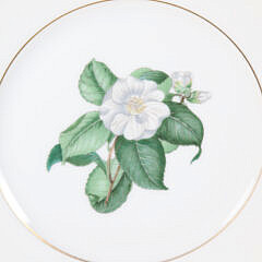 H. & Co. Selb Bavaria Germany Dinner Service in the Camellia Japonica Floral Albo Pattern