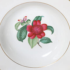 H. & Co. Selb Bavaria Germany Dinner Service in the Camellia Japonica Floral Albo Pattern