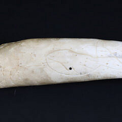 Antique Whale Oosik with Carved Whale Portraits on Both Sides, 19th Century