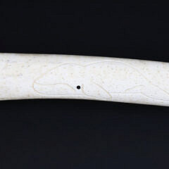 Antique Whale Oosik with Carved Whale Portraits on Both Sides, 19th Century