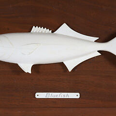 Aletha Macy Carved Bluefish Plaque, circa 1962