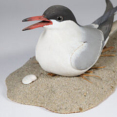 Carved and Painted Nesting Tern Signed Fisher