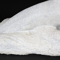 S. Puchlo Signed Carved Stone Dolphin Sculpture
