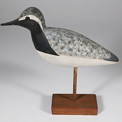 166-5450 Chris Shague Shorebird A IMG_5645