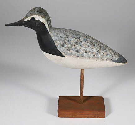 166-5450 Chris Shague Shorebird A IMG_5645