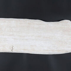 Mike Bacle Carved and Painted Moby Dick Sperm Whale Plaque