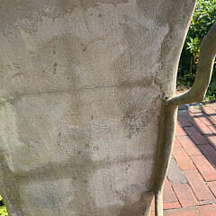 Faux Bois Sculpted Concrete Settee Bench