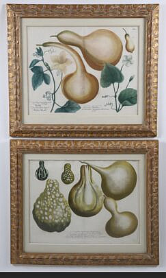 10-5479 Pair Weinman German Copper Plate Engraving of Gourds A IMG_9912