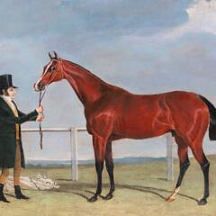 Oil on Canvas “Barrister Leading a Horse”, 19th Century