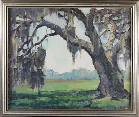 11-5462 Isabelle Tuttle OOC Spanish Moss A_IMG_9079