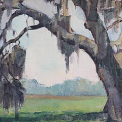 Isabelle Tuttle Oil on Canvas “Spanish Moss”
