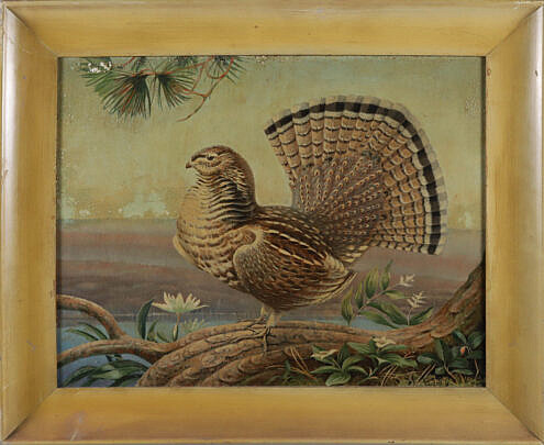 12-5462 Henry Emerson Tuttle Ruffled Grouse A_IMG_9064